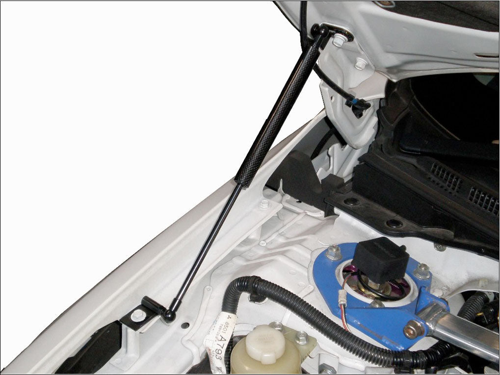 GReddy - GReddy Carbon Hood Damper(s) - 18530101