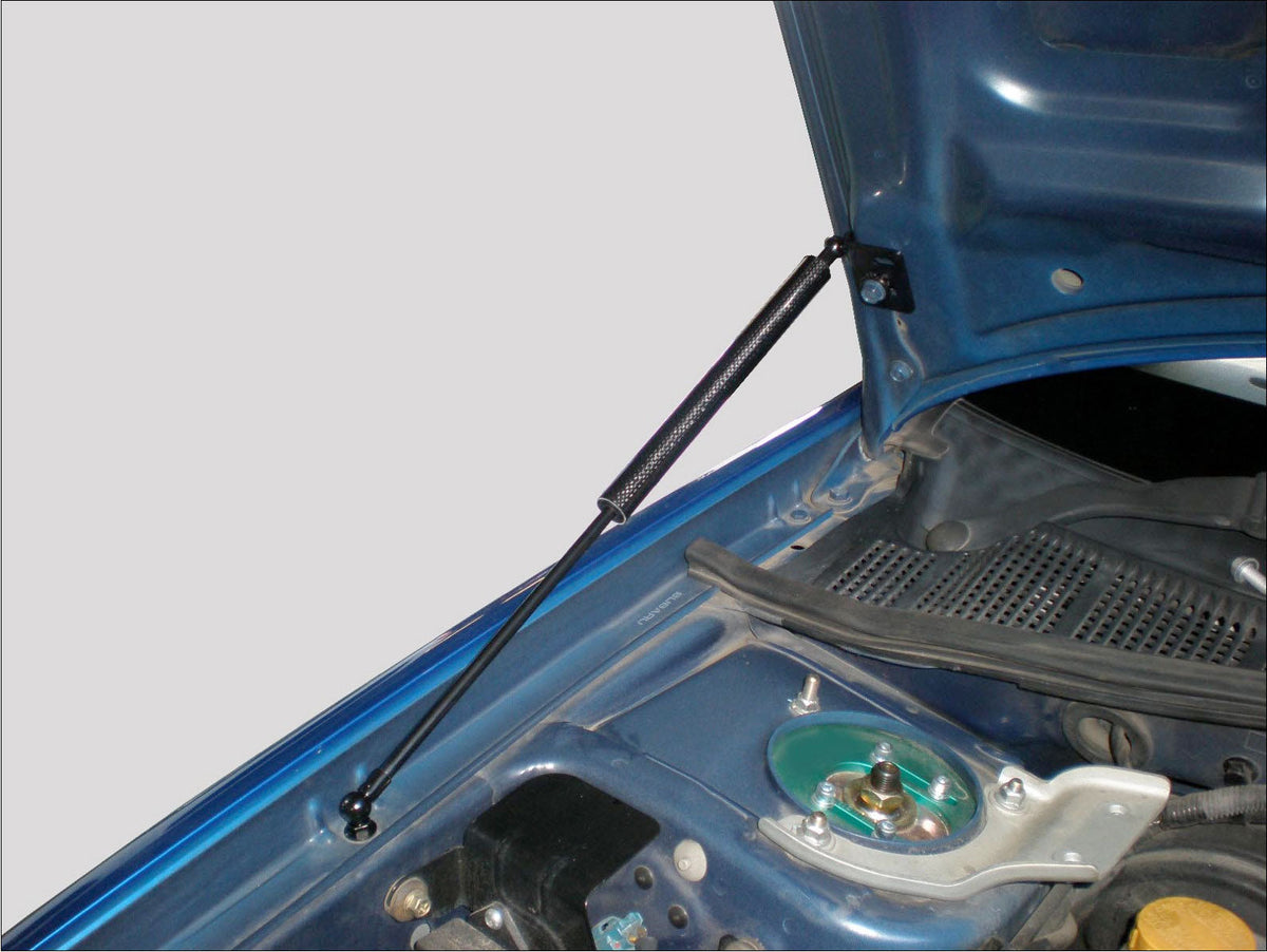 GReddy - GReddy Carbon Hood Damper(s) - 18560101
