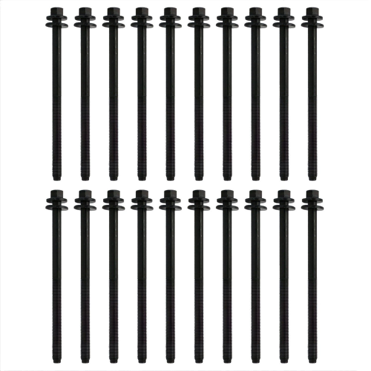 Ford Performance 5.0L/5.2L Coyote 12MM Long Head Bolt Kit (FRPM-6067-M501280)