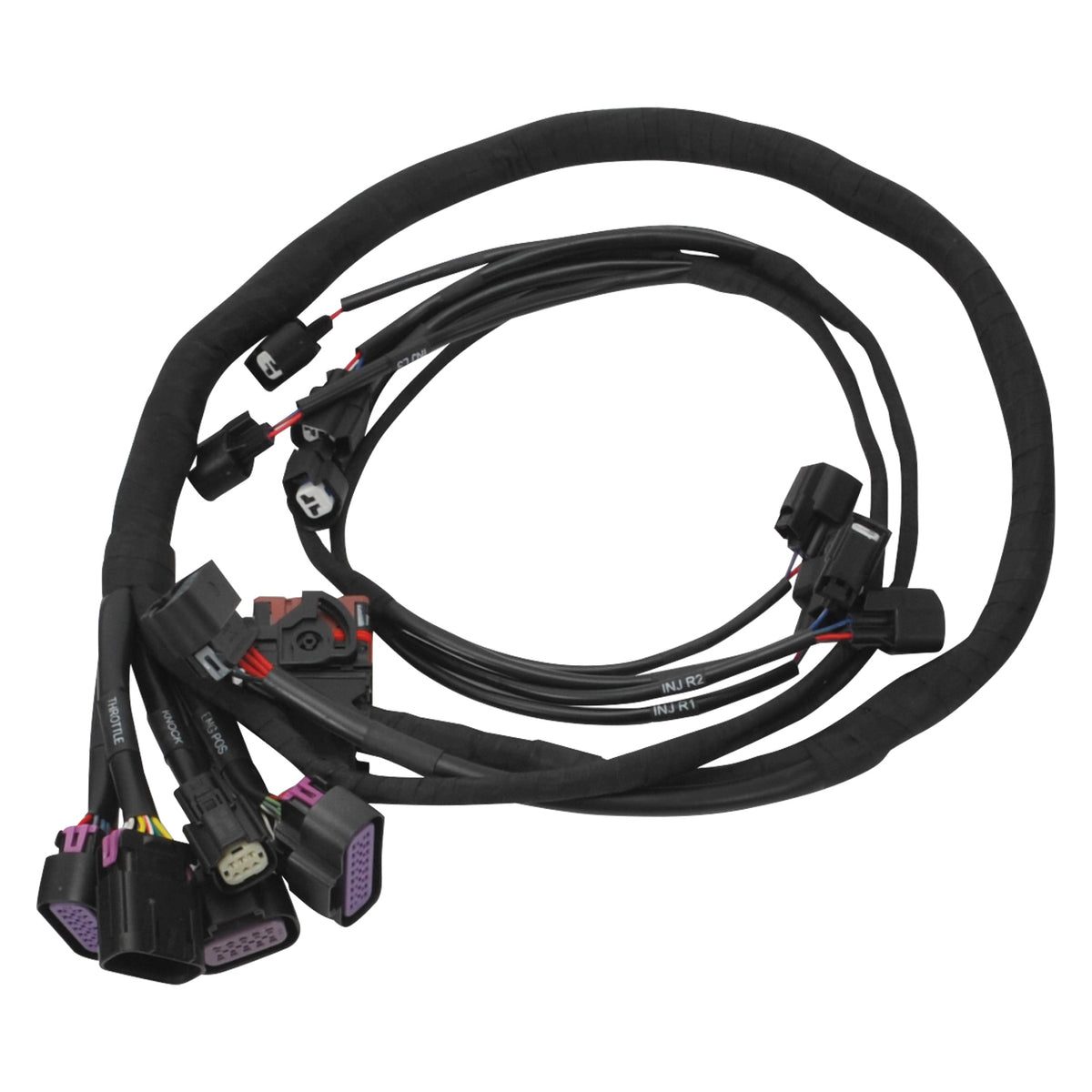 Edelbrock Chevy Gen III/IV LS Pro-Flo 4+ EFI Engine Management System - 36130