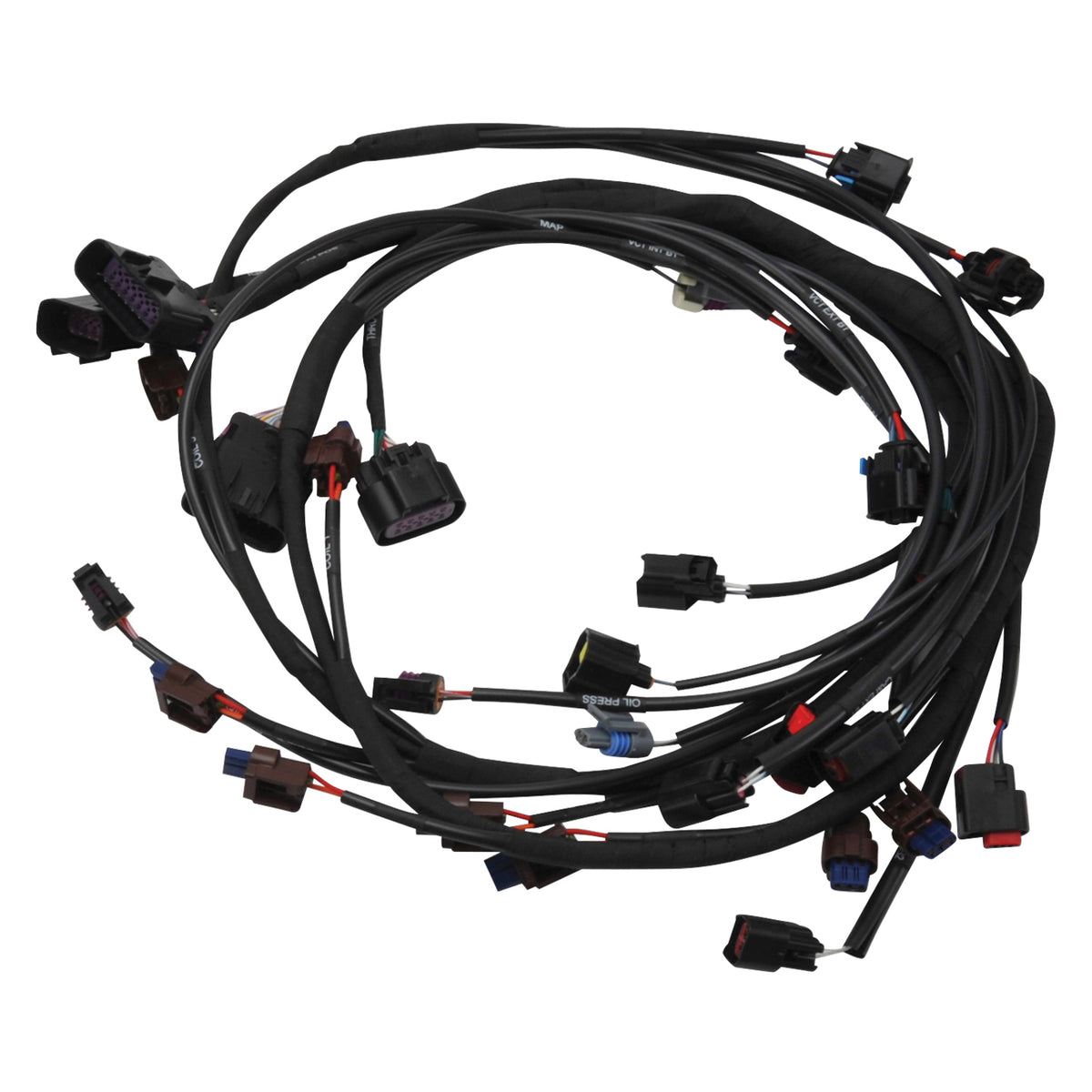 Edelbrock 15-17 Ford Coyote Pro-Flo 4+ EFI Engine Management System - 36160