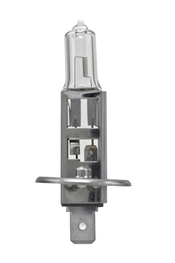 Hella Bulb H1 12V 55W P145S T25 +50 - H1P50 for 1990-2001 BMW 7 Series - front view