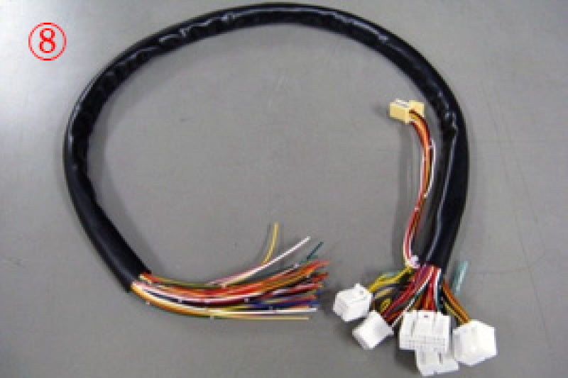 HKS ZP5 - 1F - CON V Harness - 4202-RZ007