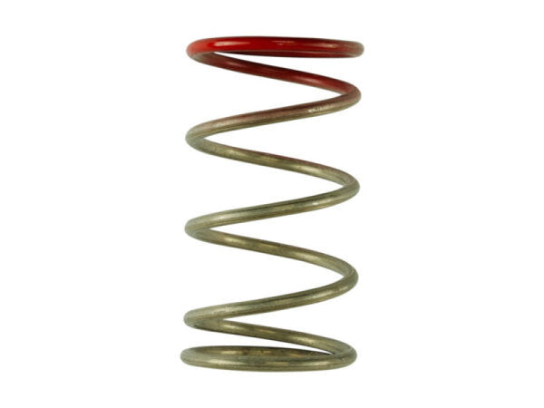 Turbosmart Gen V IWG 14psi Spring Replacement - TS-0600-2009 by Turbosmart