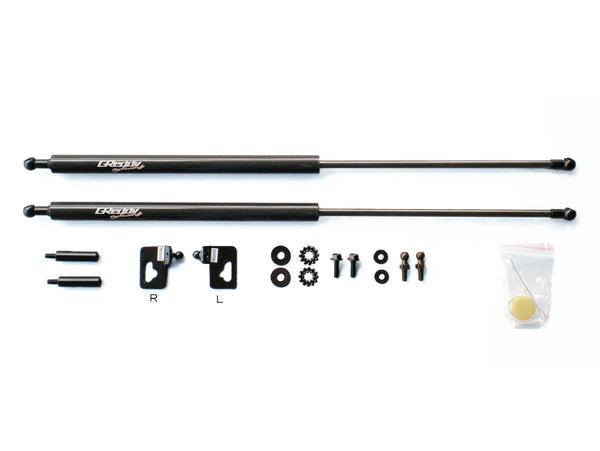 GReddy - GReddy Carbon Hood Damper(s) - 18550101