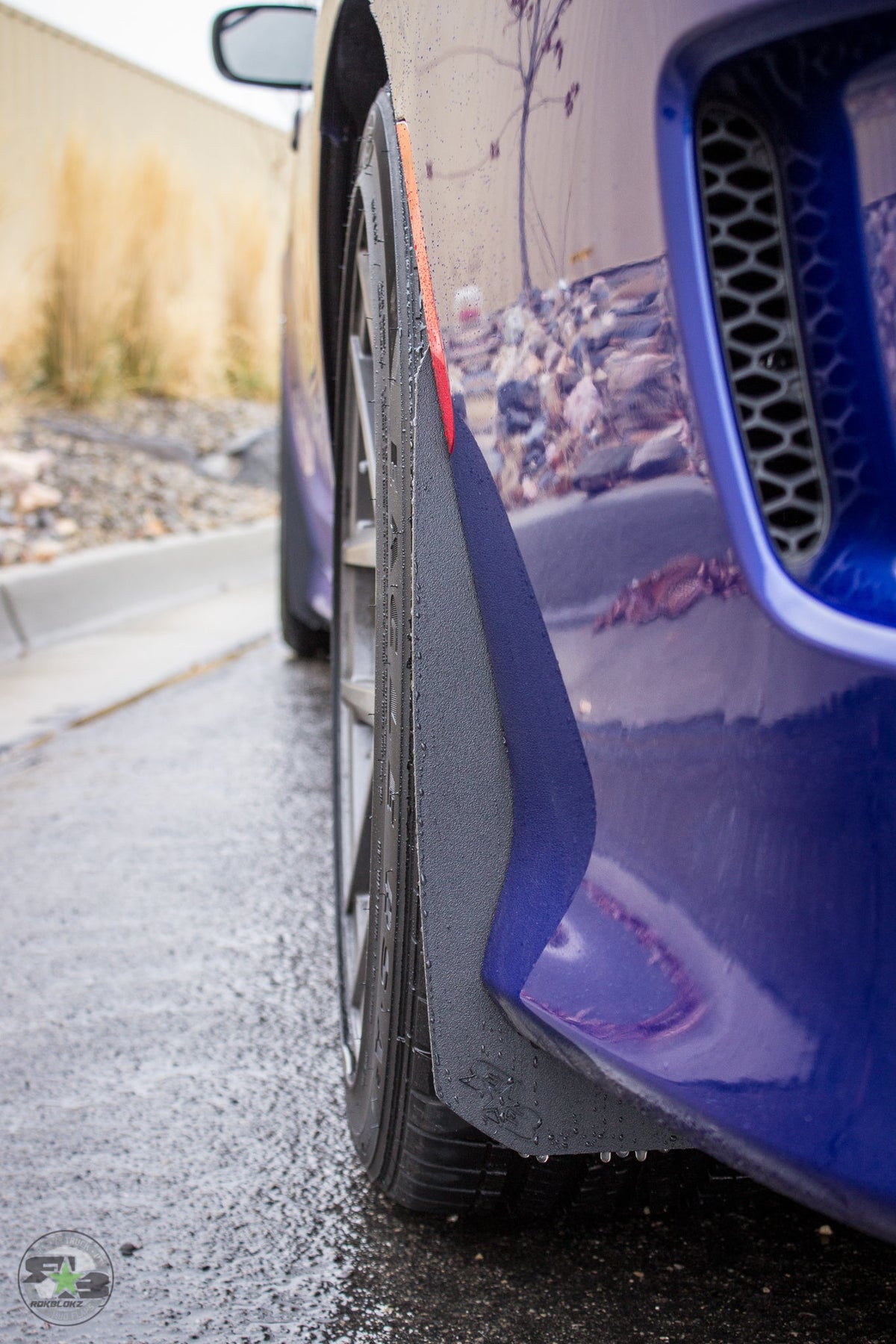 RokBlokz - Dodge Charger(LD) 2011-2020 Splash Guards