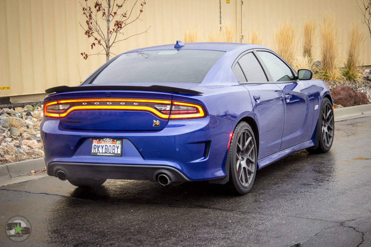 RokBlokz - Dodge Charger(LD) 2011-2020 Splash Guards