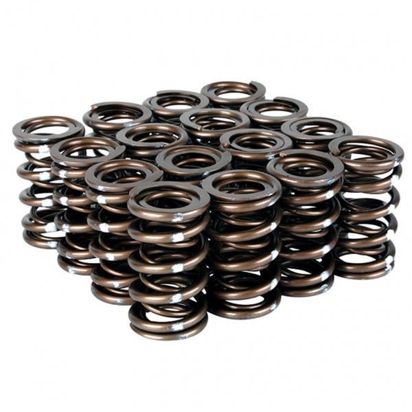 Skunk2 Pro Series Honda/Acura K-Series i-VTEC XP Valve Spring Set (Dual Springs) - 311-05-7380 for 2003-2011 Honda Element - 