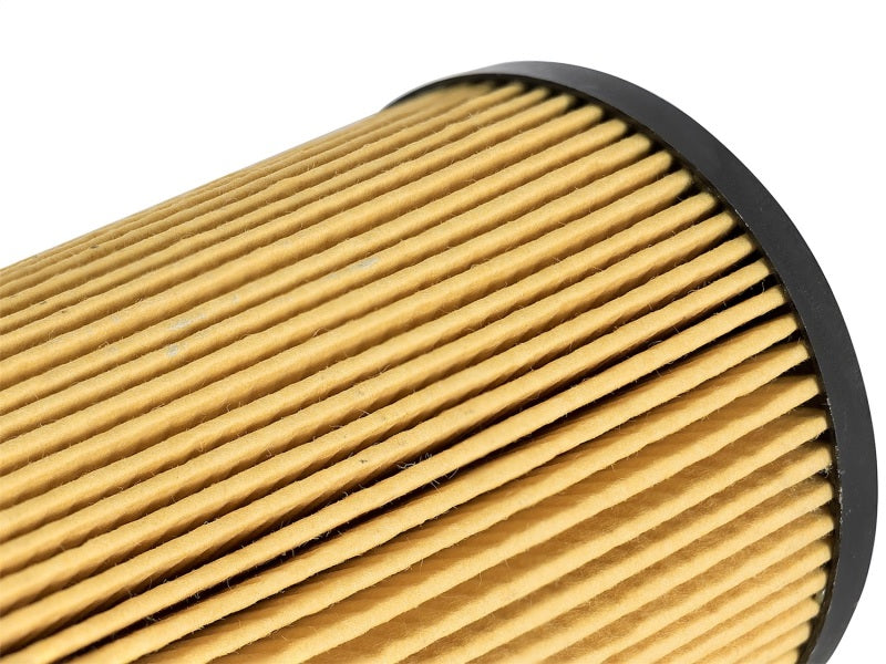 aFe ProGuard D2 Fluid Filters Oil F/F OIL Ford Diesel Trucks 03-10 V8-6.4L (TD) - 44-LF003-MB