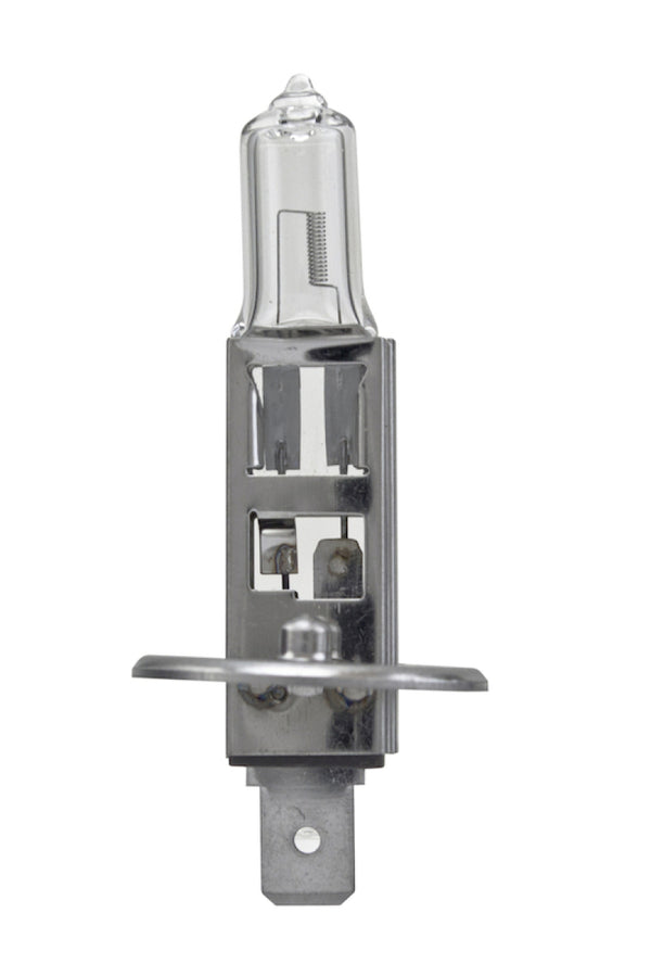 Hella Bulb H1 12V 55W P145S T25 (2) - H1TB for 1990-2001 BMW 7 Series - front view