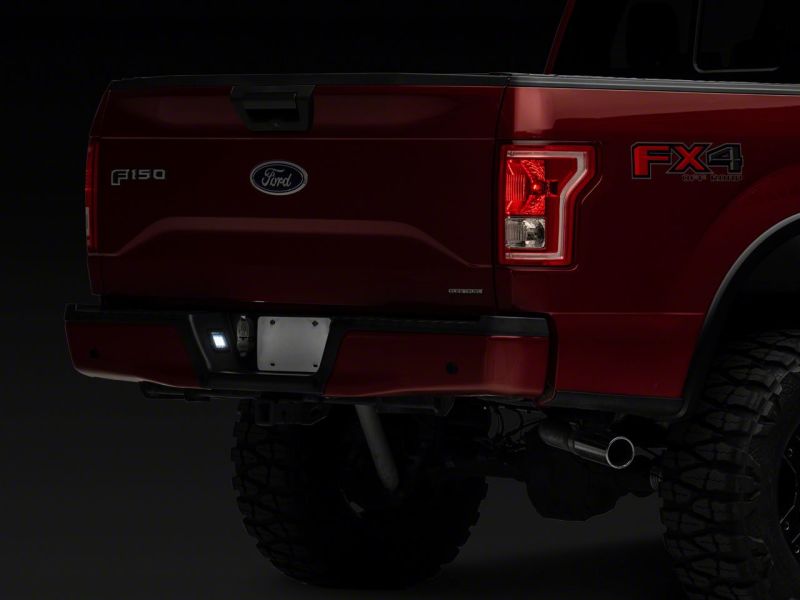 Raxiom 07-14 Ford F-150 Axial Series LED License Plate Lamps- Smoked - T549999