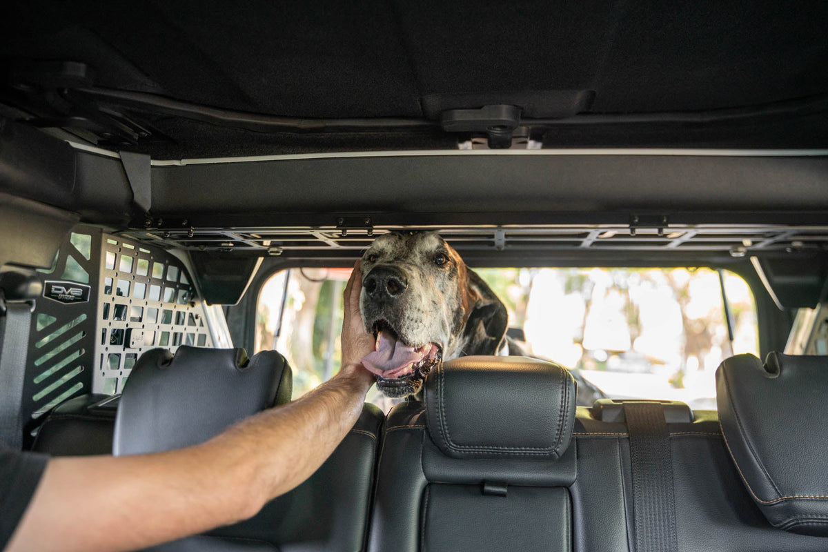 DV8 Offroad - 2021-2024 Ford Bronco | Dog Barrier - MPBR-10