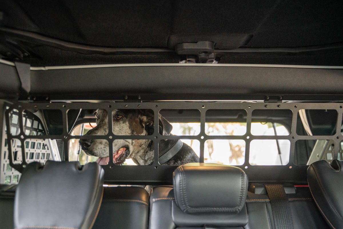 DV8 Offroad - 2021-2024 Ford Bronco | Dog Barrier - MPBR-10