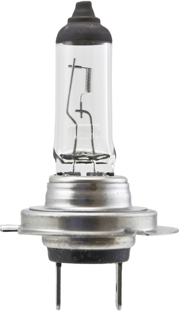 Hella High Wattage Bulb H7 12V 100W PX26d T4.6 - H7 100W for 1996-2016 Audi A4 - front view