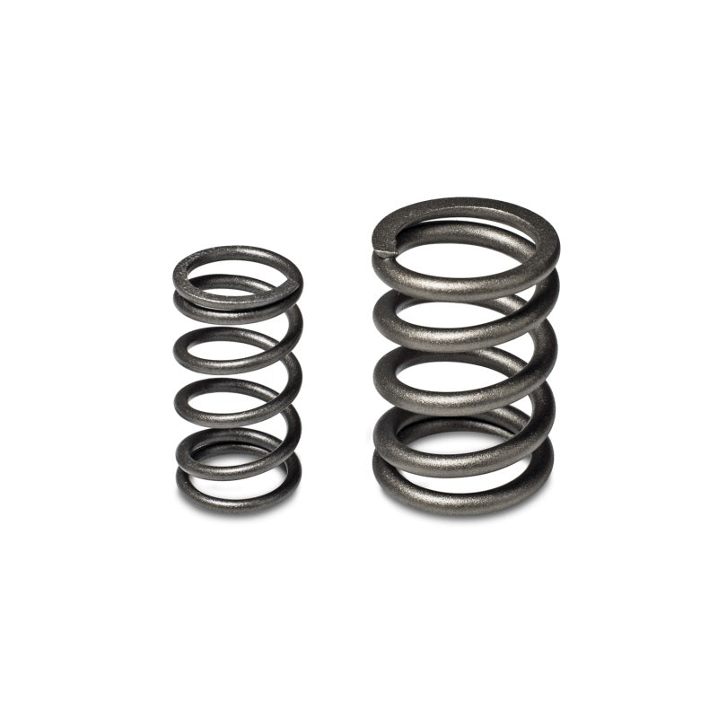 Skunk2 Tuner Series Honda/Acura (B16A/ B17A/ B18C) DOHC VTEC Alpha Valve Spring Set (Dual Springs) - 311-05-1350 for 1990-200