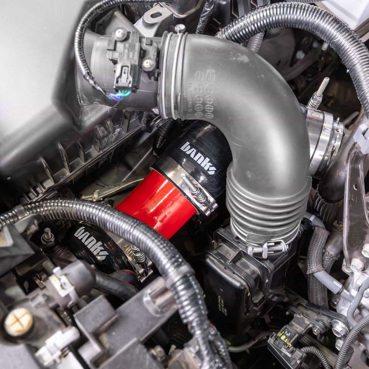 Banks Power 2024 Toyota Tacoma Boost Tube System - Red - 26012 - Image 4