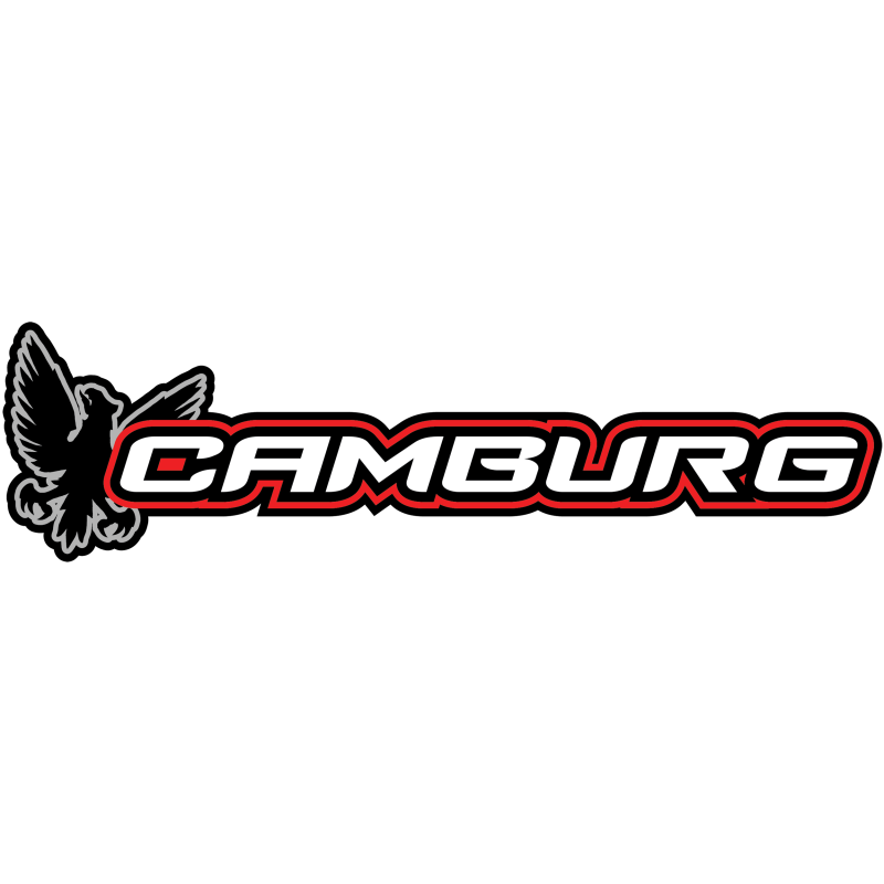 Camburg 17-20 Ford Raptor Bolt-on Rear 2.5 Bump Stop Mount Kit (S/O) - CAM-120025