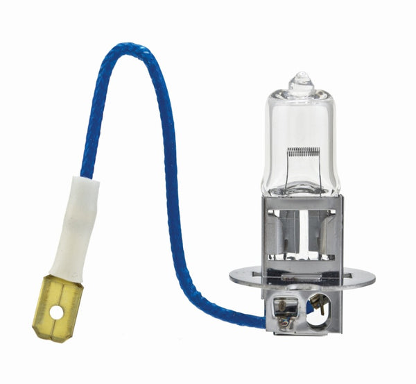 Hella Bulb H3 12V 55W Pk22S T325 +50 (2) - H3P50TB for 1995-2002 Volkswagen Cabrio - front view