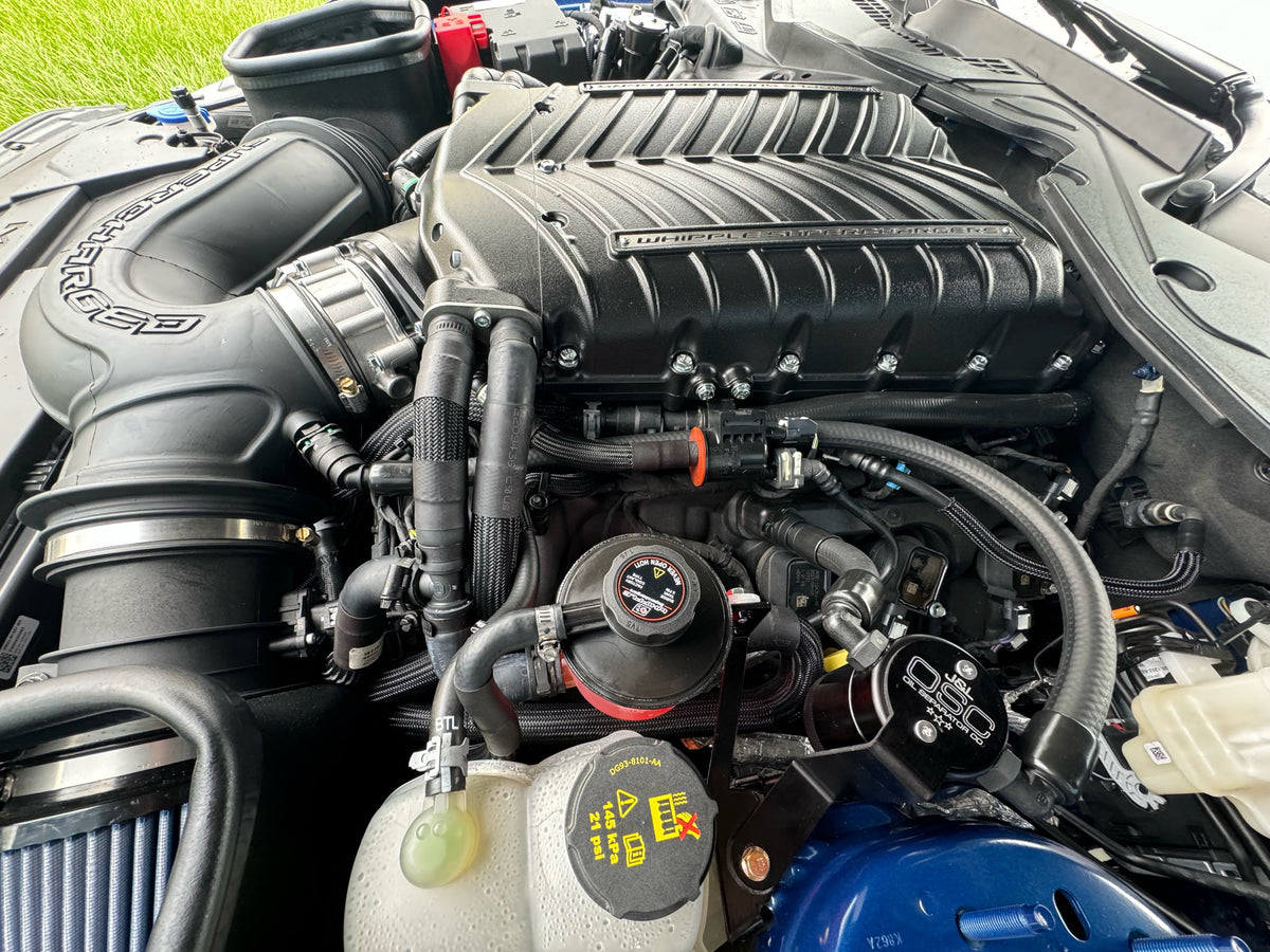 J&L 24+ Ford Mustang 5.0L (w/ Whipple Supercharger) Oil Separator - 3.0 CCV Side Black Anodized - 3092D-B