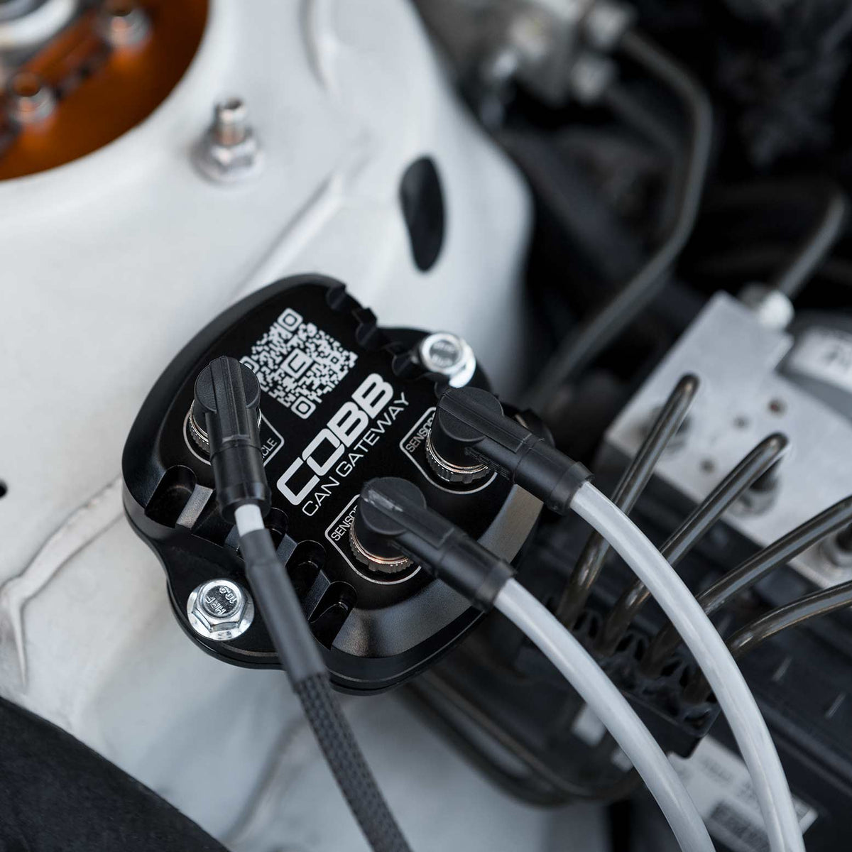 Cobb 15-17 Subaru WRX Previous Ethanol Sensor Kit to Subaru CAN FF Upgrade (Module/Harness/Bracket) - 343650-UP