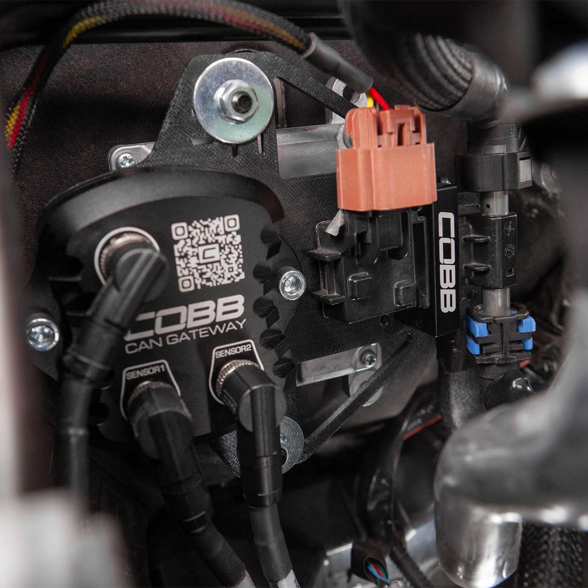Cobb 23-25 Subaru Ascent/Outback XT &amp; Wilderness/Legacy XT &amp; Sport CAN Flex Fuel Upgrade - 346625