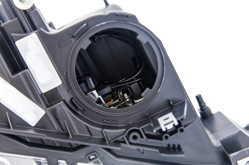 Photo - Close Up