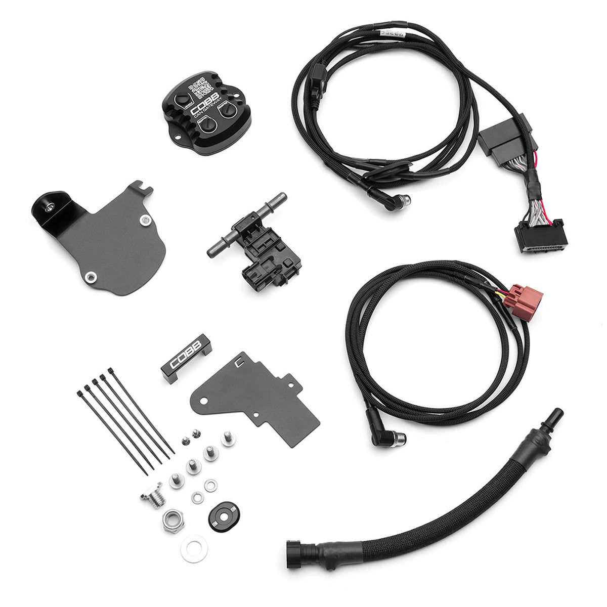 Cobb 17-20 Ford F-150 Ecoboost Raptor Stage 1+ CAN Flex Fuel Redline CF Power Package - FOR005001P-RED-FF