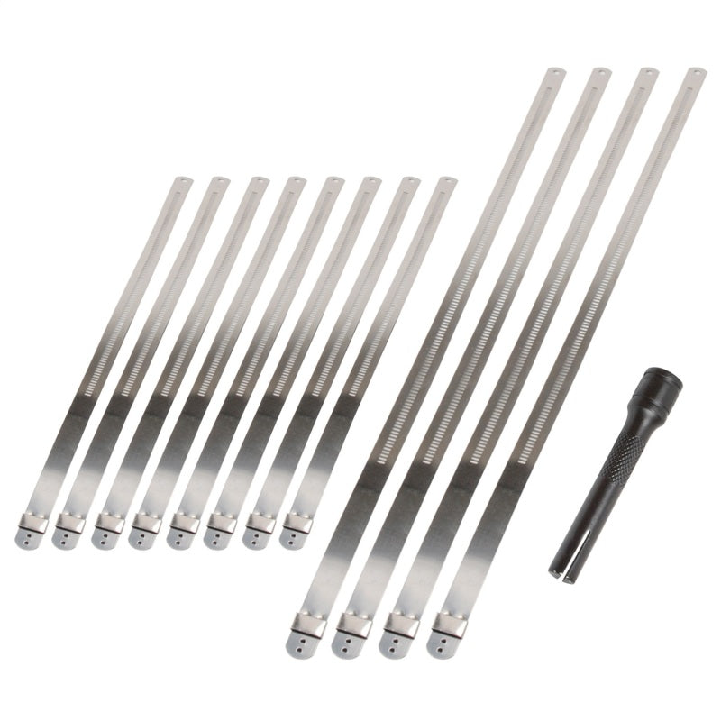 DEI Stainless Steel Positive Locking Tie &amp; Tool Kit - 8in (8 Pack) &amp; 14in (4 Pack) - 10219