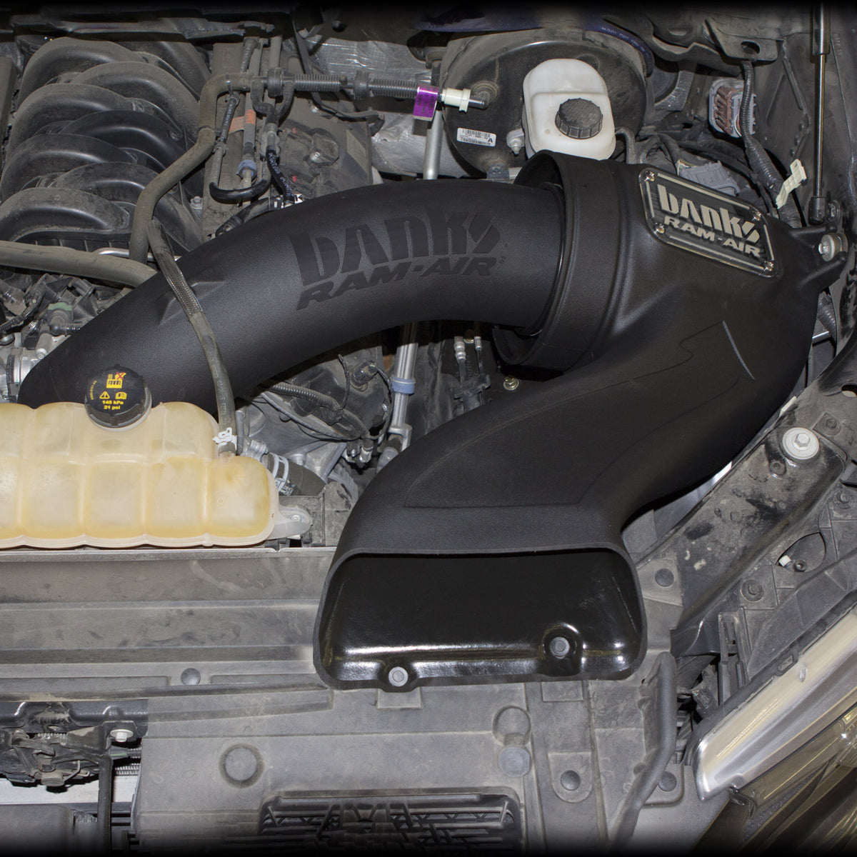 Banks Power 15-17 Ford F-150 5.0L Ram-Air Intake System - Dry Filter - 41888-D