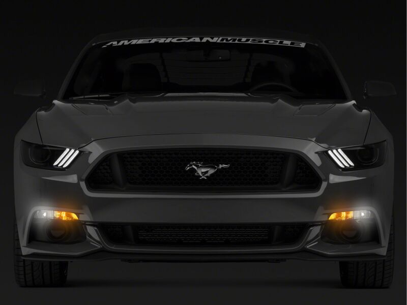 Raxiom 15-17 Ford Mustang Axial Series Switchback Turn Signal Conversion Kit - 390266 - angle view