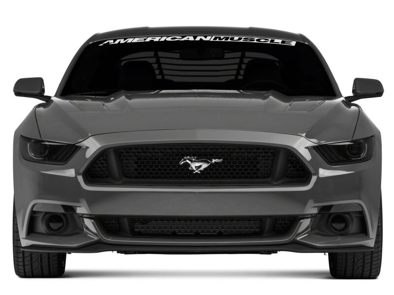 Raxiom 15-17 Ford Mustang Axial Series Switchback Turn Signal Conversion Kit - 390266 - detail view