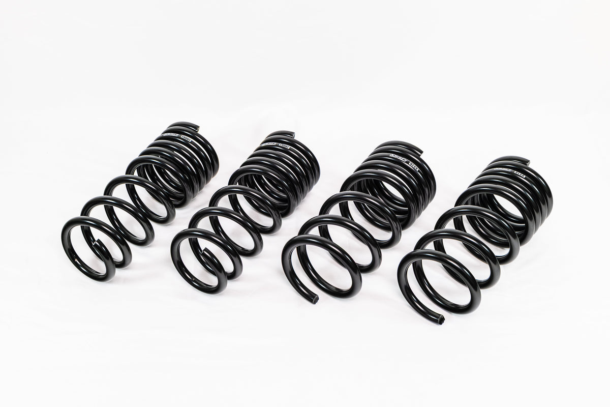 Swift Springs Nissan 370Z Z34 (2009–2020) Spec-R Lowering Springs
