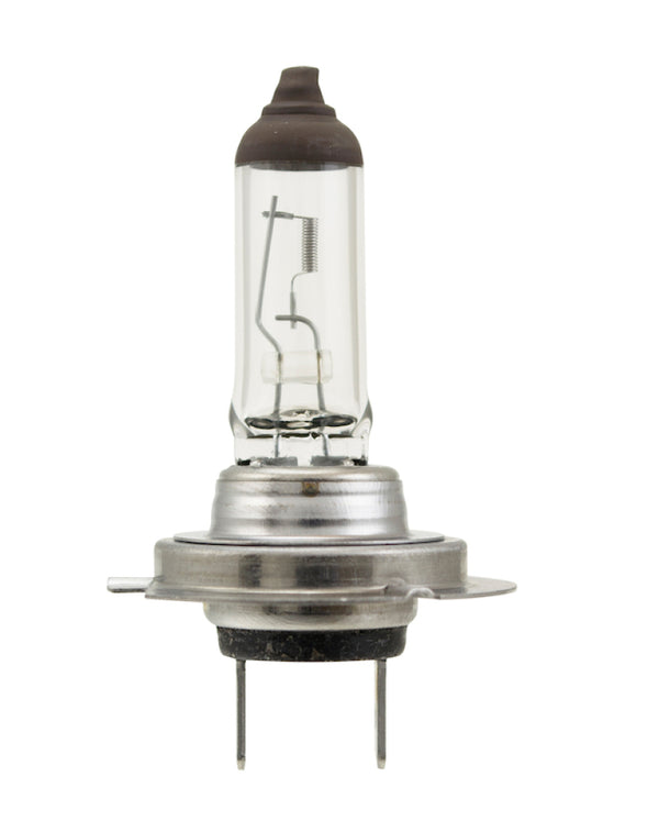 Hella Bulb H7 12V 70W PX26d T4.625 - H7 70W for 1996-2016 Audi A4 - front view