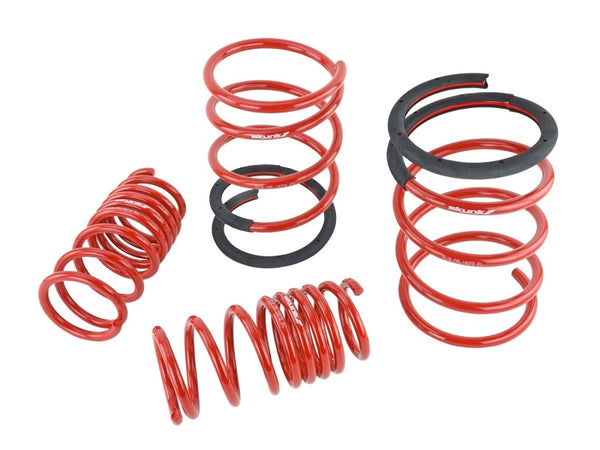 Skunk2 05-06 Acura RSX Lowering Springs (2.25in - 2.00in.) (Set of 4) - 519-05-1672 for 2005-2006 Acura RSX - front view
