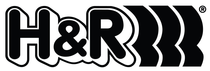 H&R 05-10 BMW M5 (E60) 21mm 3-Hole Adj. Sway Bar - Rear - 71426