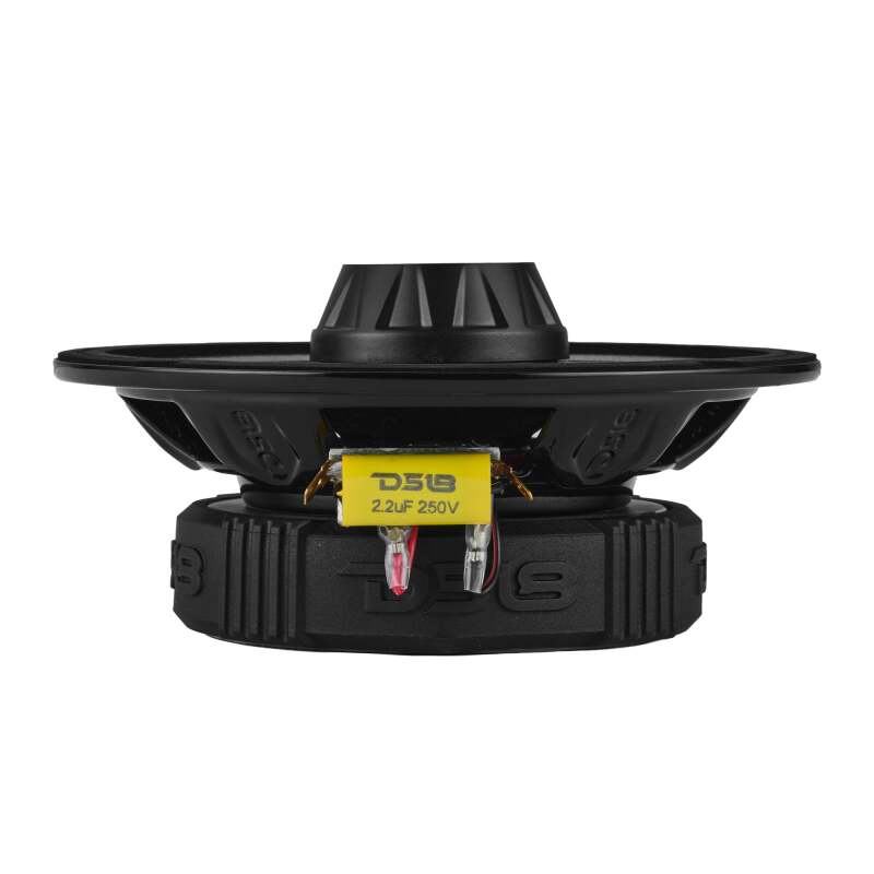 DS18 6.5in 200 Watts RMS 4 ohm Mid-Range Water Resistant Cone Shallow Loudspeaker - PRO-ZT6SL - angle view