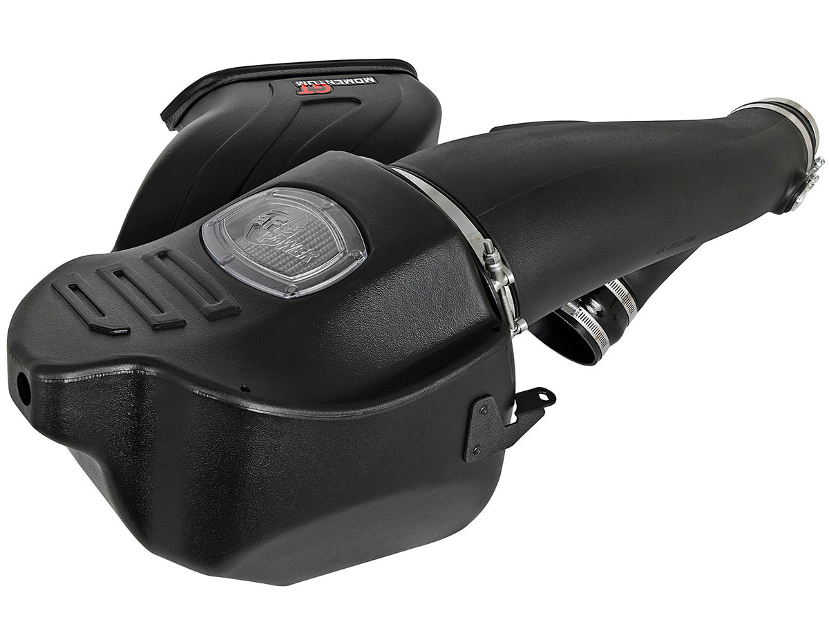 aFe POWER Momentum GT Pro Dry S Intake System 2017 Ford F-150 Raptor V6-3.5L (tt) EcoBoost - 51-73115