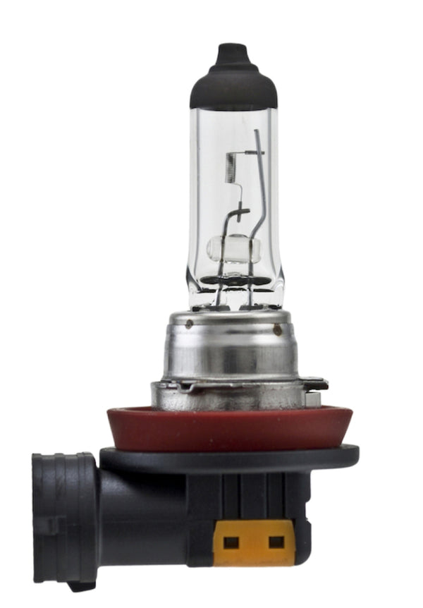 Hella Bulb H8 12V 35W Pgj191 T4 (2) - H8TB for 2013-2020 Audi S5 - front view