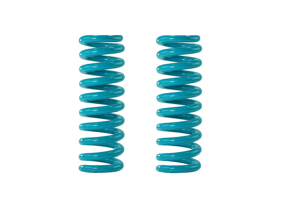 DOBINSONS COIL SPRING PAIR (C92-3013550)