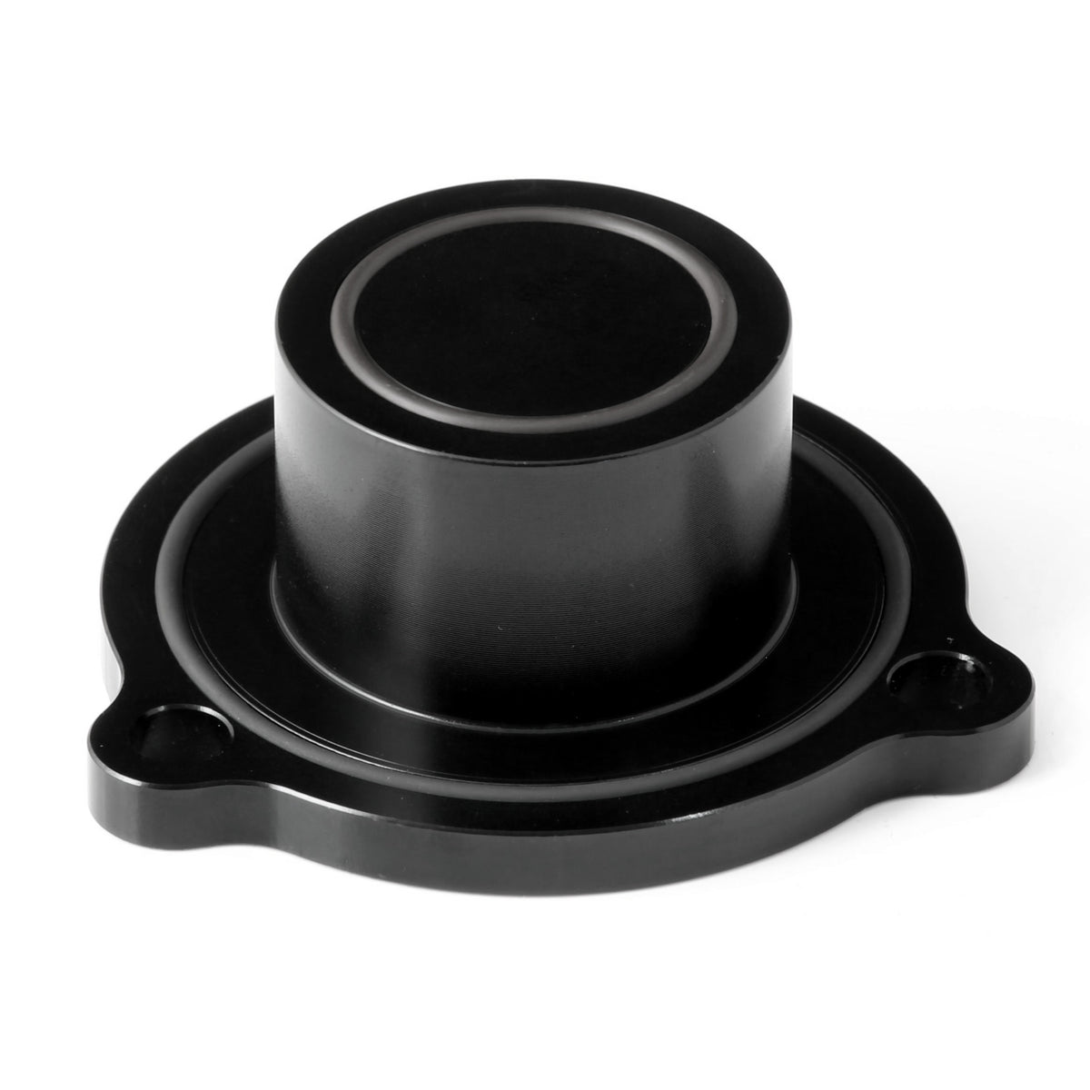 5554 Borg Warner DV Blanking Plate