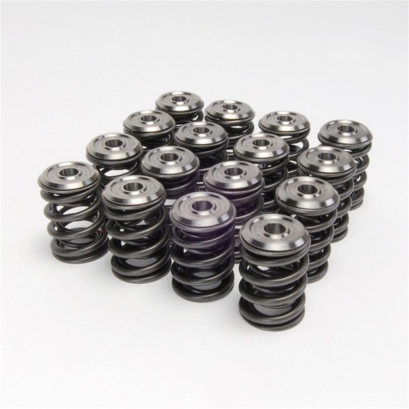 Skunk2 Alpha Series Honda/Acura B Series Valve Spring and Titanium Retainer Kit - 344-05-1300