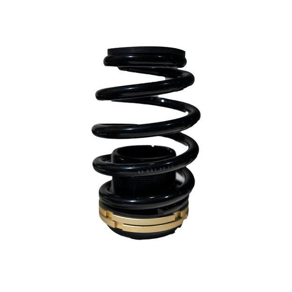 BLOX Racing 14-15 Honda Civic SI Plus Series Fully Adjustable Coilovers - BXSS-00121 - front view