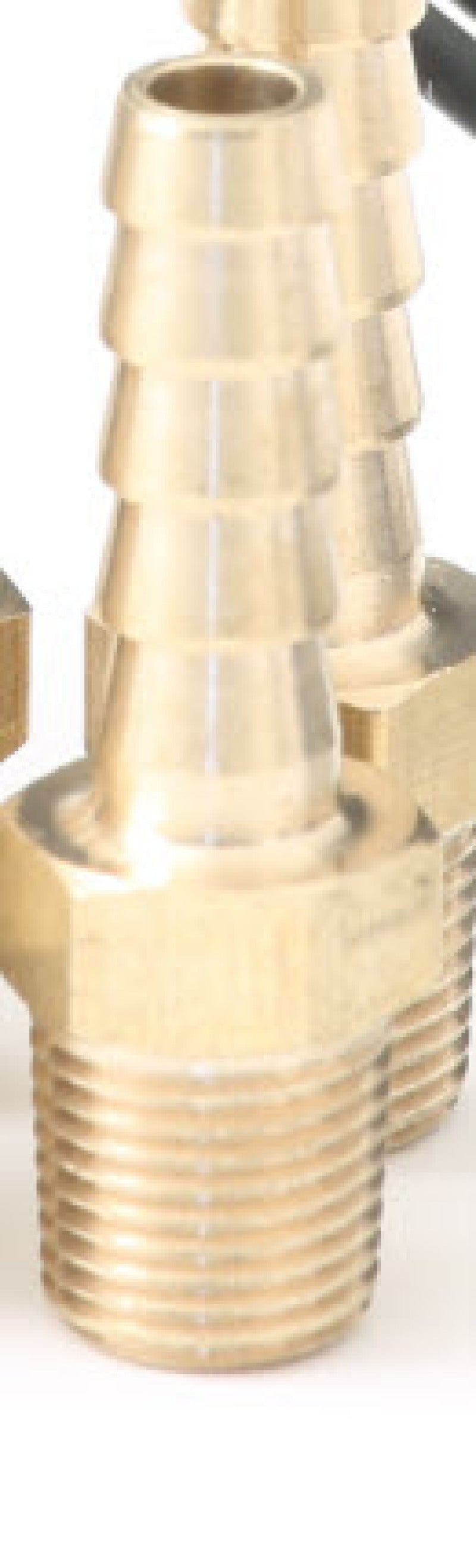GFB 1/8in BSPT Hose Tail (each) - 3846 by Go Fast Bits - angle view