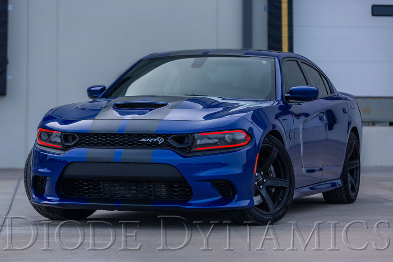 Diode Dynamics RGBW DRL LED Boards for 2019-2021 Dodge Charger - DD2282