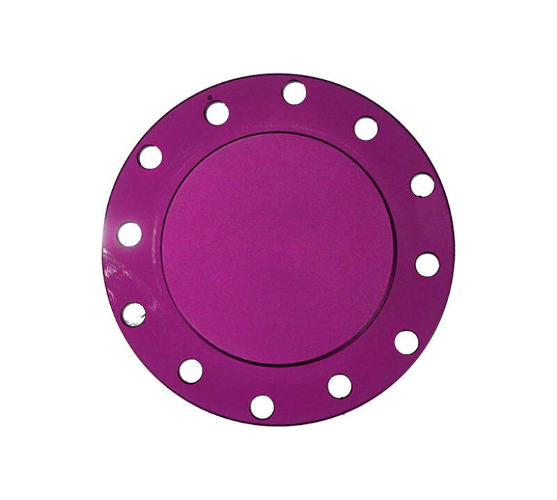 NRG Horn Delete Plate Flush Fitting - Purple - STR-150PP - front view