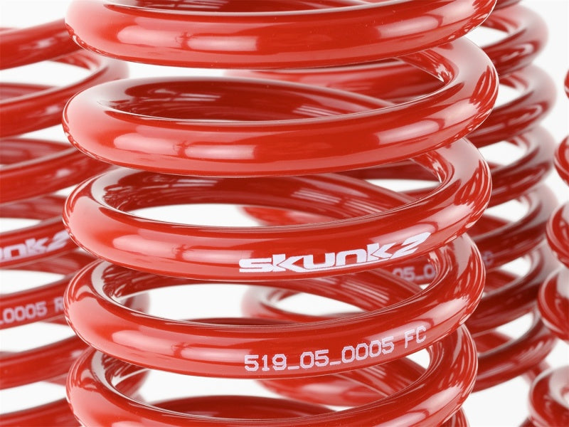 Skunk2 92-95 Honda Civic/Del Sol Lowering Springs (2.50in - 2.25in.) (Set of 4) - 519-05-1480