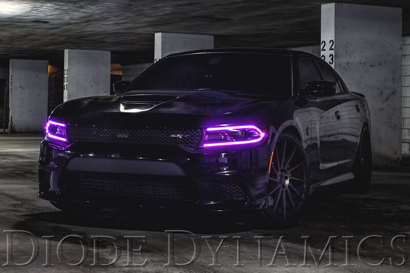 Diode Dynamics 2015-2018 Dodge Charger RGBW DRL LED Boards - DD2003