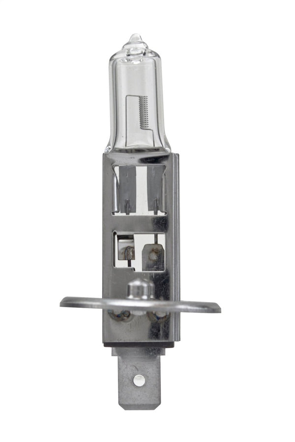 Hella Bulb H1 12V 55W P145S T25 +50 (2) - H1P50TB for 1990-2001 BMW 7 Series - front view
