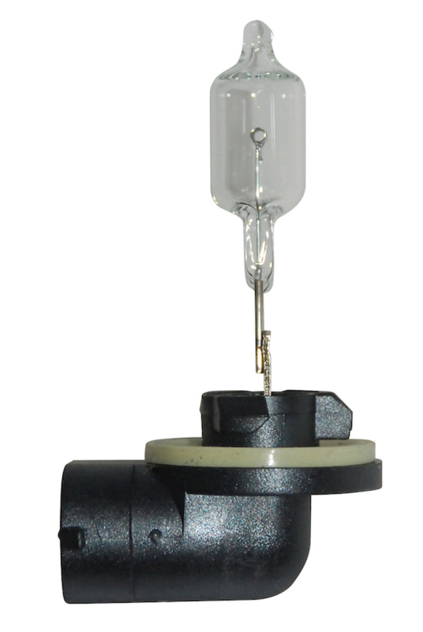 Hella Bulb 888 12V 50W PGJ13 T3.25 by Hella - front view