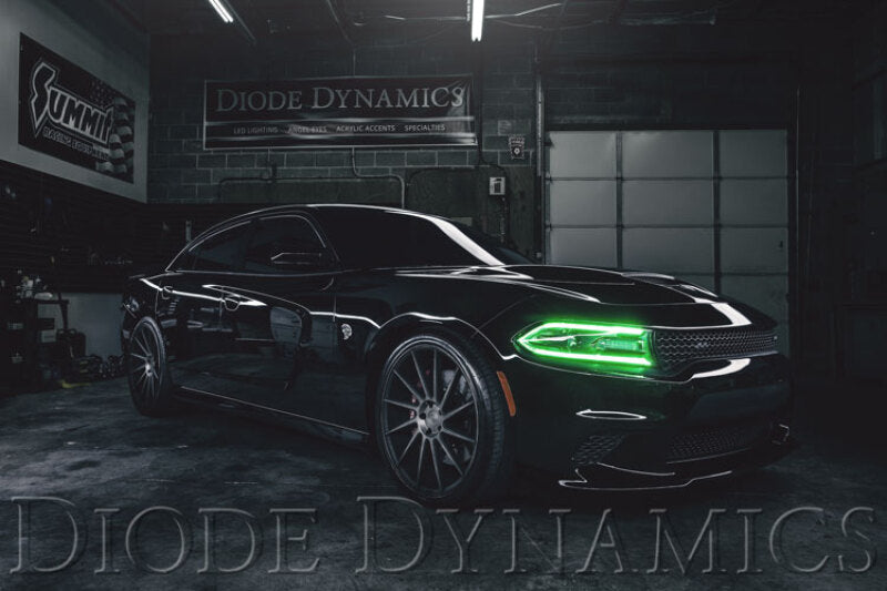 Diode Dynamics 2015-2018 Dodge Charger RGBW DRL LED Boards - DD2003